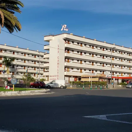 Camelias Ci15 Lägenhet Playa del Inglés
