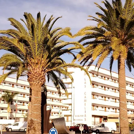 Camelias Ci15 * Playa del Inglés